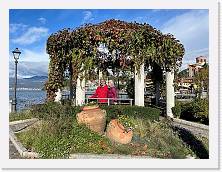 Immagine WhatsApp 2023-11-05 ore 11.53.24_972deb3d * 1024 x 768 * (227KB)